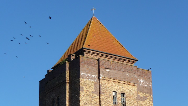 P1020546
